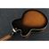 Ibanez AF75TDG: Picture 1 thumbnail