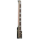 Ibanez AF75: Picture 14 thumbnail