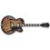 Ibanez AFV10A: Picture 2 thumbnail