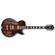 Ibanez AG95: Picture 3 thumbnail