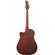 Ibanez ALT20: Picture 2 thumbnail
