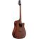 Ibanez ALT20: Picture 3 thumbnail