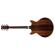 Ibanez AM93ME: Picture 6 thumbnail