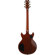 Ibanez AR625FMSP: Picture 2 thumbnail