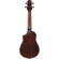 Ibanez AUC14: Picture 2 thumbnail