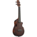 Ibanez AUC14: Picture 3 thumbnail