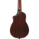 Ibanez AUC14: Picture 5 thumbnail