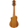 Ibanez AUP10N: Picture 2 thumbnail