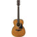 Ibanez AVC11: Picture 6 thumbnail