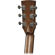Ibanez AVC11: Picture 3 thumbnail