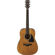 Ibanez AVD11: Picture 6 thumbnail