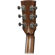 Ibanez AVD11: Picture 3 thumbnail