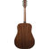 Ibanez AVD60: Picture 2 thumbnail