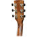 Ibanez AVD9CE: Picture 3 thumbnail