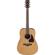 Ibanez Artwood Vintage Thermo Aged AVD9 Acoustic Guitar, Rosewood Fretboard, Natural 