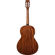 Ibanez AVN9SPE: Picture 2 thumbnail