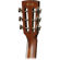 Ibanez AVN9SPE: Picture 3 thumbnail