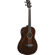 Ibanez AVNB1FE 4-String Fretless Semi-Acoustic Guitar, Mahogany Neck, Maple Fingerboard, Semi-Gloss, Parlor Body, Brown Violin: Picture 1 thumbnail