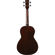 Ibanez AVNB1FE 4-String Fretless Semi-Acoustic Guitar, Mahogany Neck, Maple Fingerboard, Semi-Gloss, Parlor Body, Brown Violin: Picture 2 thumbnail