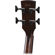 Ibanez AVNB1FE 4-String Fretless Semi-Acoustic Guitar, Mahogany Neck, Maple Fingerboard, Semi-Gloss, Parlor Body, Brown Violin: Picture 3 thumbnail