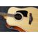 Ibanez AVT2E: Picture 4 thumbnail