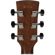 Ibanez AW54CE: Picture 5 thumbnail