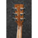 Ibanez AW54LCE: Picture 2 thumbnail