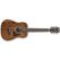 Ibanez AW54MINI: Picture 5 thumbnail