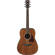 Ibanez AW54: Picture 1 thumbnail