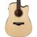 Ibanez AWFS300CE: Picture 2 thumbnail
