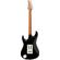 Ibanez AZ2203N: Picture 2 thumbnail