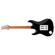 Ibanez AZ2204N: Picture 5 thumbnail