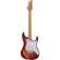 Ibanez AZ Premium 6-String Electric Guitar with Soft Case, 22 Frets, Bolt-On Neck, Roasted Maple Fingerboard, Flamed Maple Top, Brown Topaz Burst: Picture 1 thumbnail