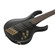 Ibanez BTB605LM: Picture 6 thumbnail