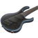Ibanez BTB605MS: Picture 8 thumbnail