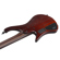 Ibanez EHB Ergonomic Headless Series EHB...: Picture 7 thumbnail
