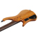 Ibanez EHB Ergonomic Headless Series EHB...: Picture 7 thumbnail