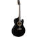 Ibanez EP5BP: Picture 1 thumbnail
