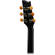 Ibanez EP5BP: Picture 3 thumbnail