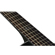 Ibanez EP5BP: Picture 5 thumbnail