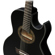Ibanez EP5BP: Picture 6 thumbnail