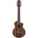 Ibanez EWP13 Piccolo: Picture 1 thumbnail