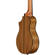 Ibanez EWP14: Picture 3 thumbnail