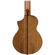 Ibanez EWP14: Picture 5 thumbnail
