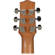 Ibanez EWP14: Picture 7 thumbnail