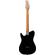 Ibanez FLATV1: Picture 4 thumbnail