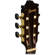 Ibanez Classical Series: Picture 4 thumbnail