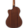 Ibanez GA5TCE3Q: Picture 5 thumbnail