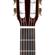 Ibanez Classical Series: Picture 3 thumbnail