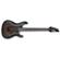 Ibanez GS221CWS: Picture 1 thumbnail